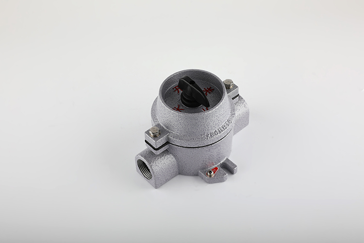防爆照明開關 SW-10/220V